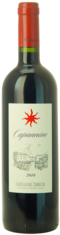 2010 CAPANNINO Castello del Terriccio