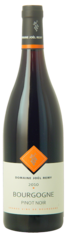 2011 BOURGOGNE ROUGE Pinot Noir Domaine Joël Rémy