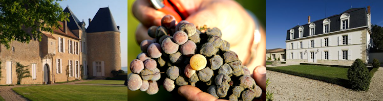 Sauternes and Barsac