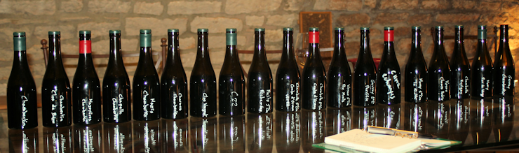 Côte de Nuits