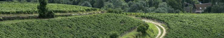 Chablis