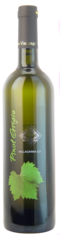 2010 PINOT GRIGIO Vallagarina Cantina Valdadige