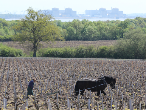 Ploughing by horse at Sociando Mallet