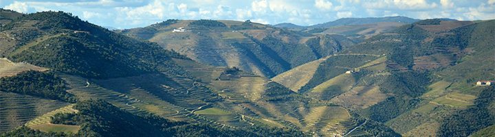 2011-Port-Douro-Valley-Lea and Sandeman