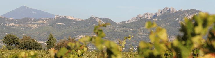 Les Dentelles de Montmirail - Lea and Sandeman - Domaine Romain Roche