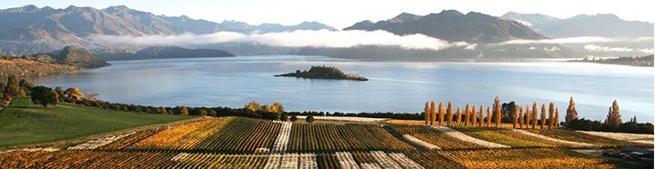 Rippon-Valley-Sauvignon-Blanc-Vineyards-South-Island-New-Zealand-view