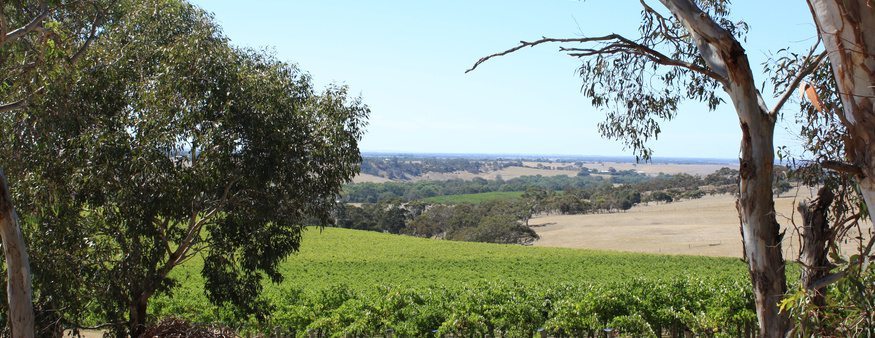 Salomon Estate - Finniss River - Lea and Sandeman