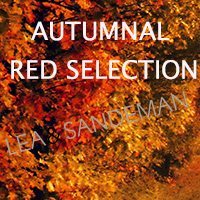 Autumn-Reds-Offer---Lea-&-Sandeman-Independent-Wine-Merchants-Feature