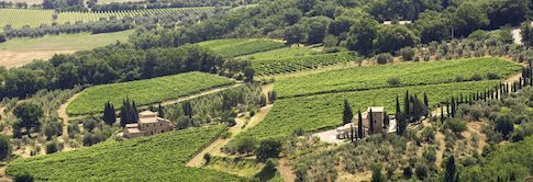 Fuligni-Brunello-Di-Montalcino---Lea-and-Sandeman-Wine-Merchants