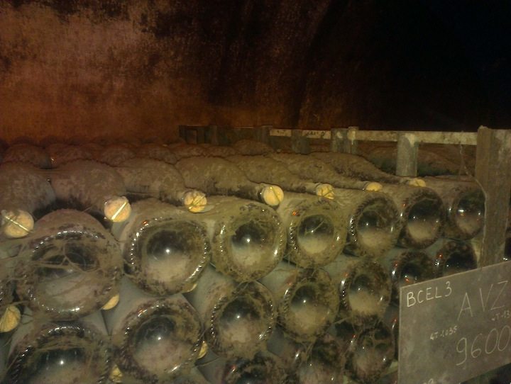 Bollinger Cellar