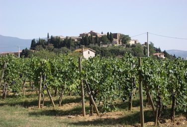 Collemattoni - Brunello di Montalcino