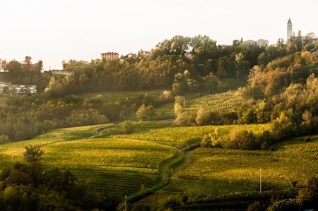 Collio-Visintini-Andrea