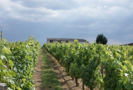 vallee-de-la-loire-et-du-centre-domaine-des-hauts-perrays