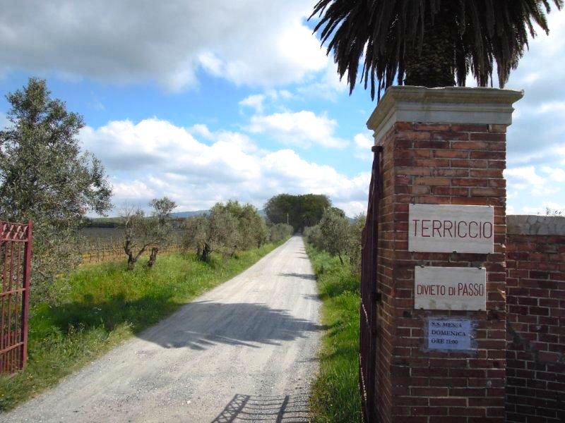 Castello del Terriccio Drive Way