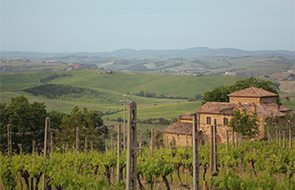 New-Tuscany-Wine-Releases