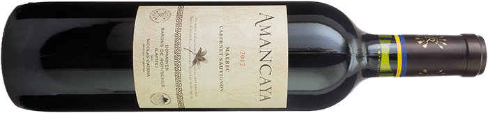 2012-AMANCAYA-Bodegas-Caro