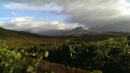 Stellenbosch