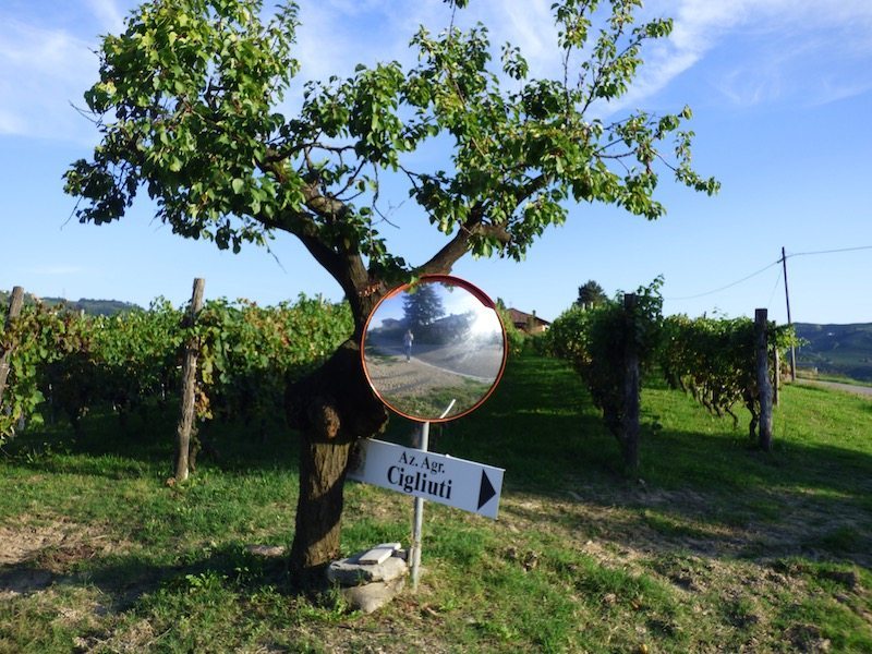 Azienda Agricola Cigliuti