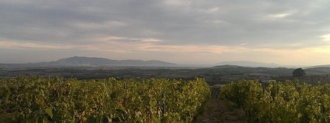 View from the hills of Maremma to the Sea