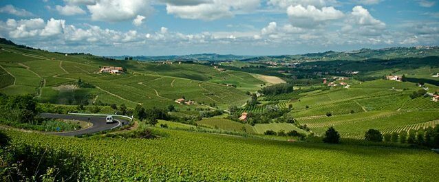 Oberto-Barbera-Piedmont