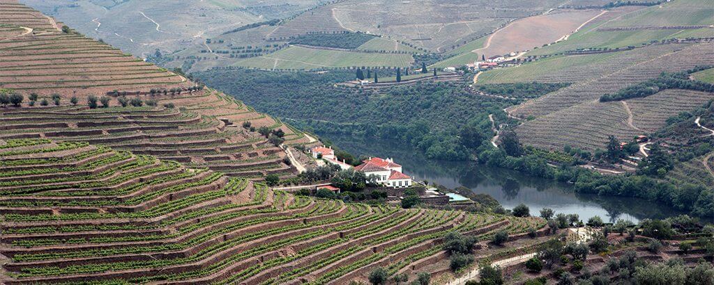 Quinta da Romaneira thinner