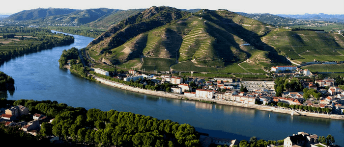 Rhone Valley Tasting