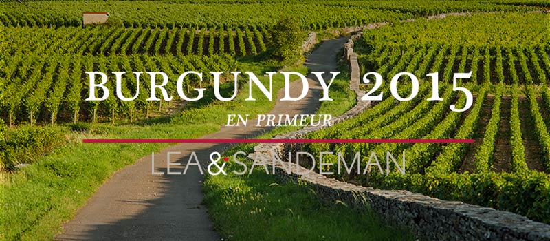 2015-Burgundy-Banner-Blog-800