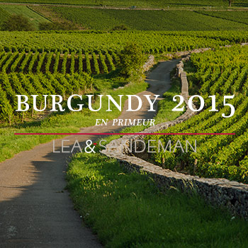 2015-Burgundy-Banner-Blog-Feature