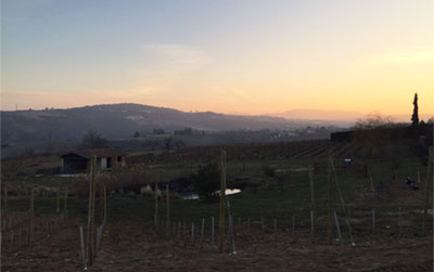 Rhone Valley Sunset