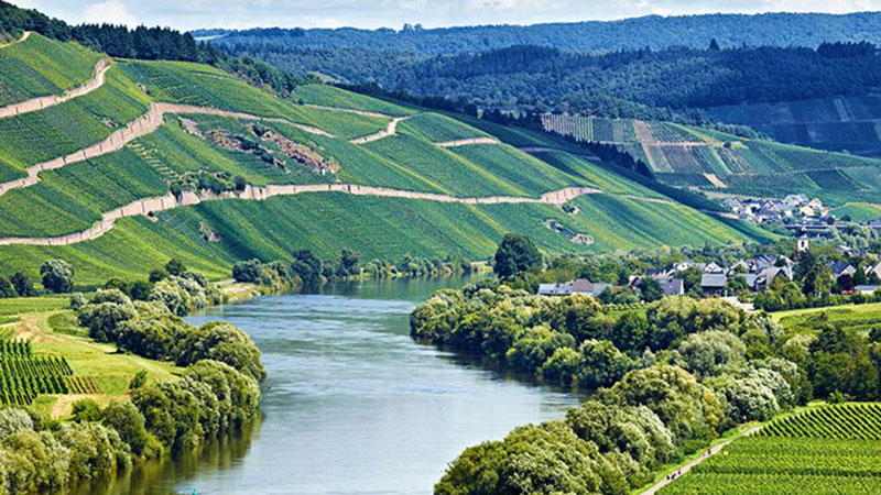 The Mosel