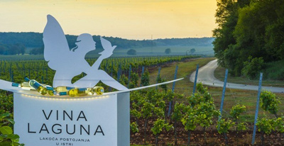 vina-laguna-featured-image