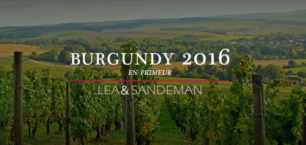 2016-Burgundy-En-Primeur