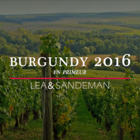 2016-Burgundy-En-Primeur-Money-Week