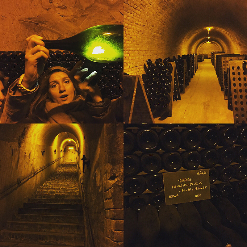 Cellar Tour