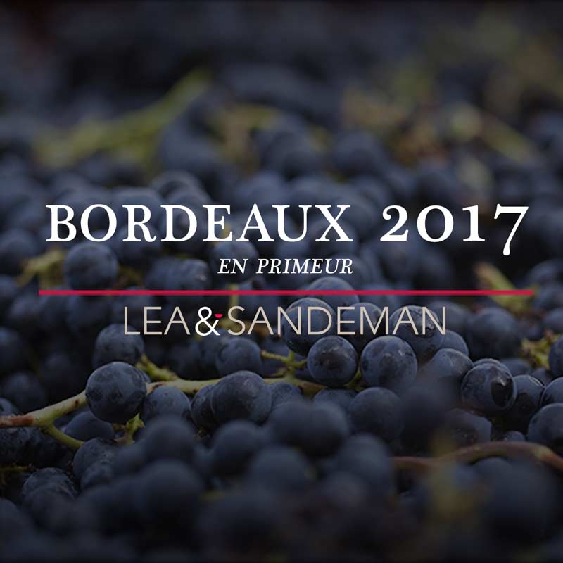 2017-Bordeaux-En-Primeur-Featured-Grapes