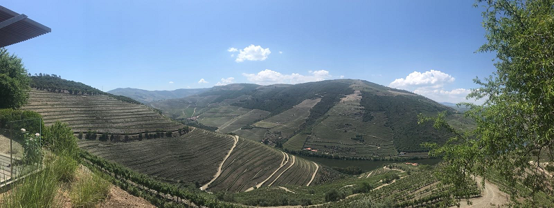 Quinta da Romaneira Panorama