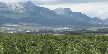 View of Artuke & Sierra de Tolono