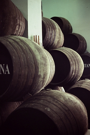 Barrels at Hidalgo