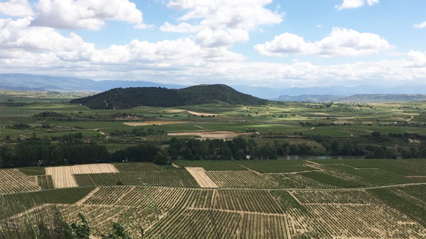 Rioja-visit-lea-sandeman