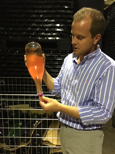 Federico explains how the wine is bottle fermented, and how the yeast slowly collects in the bottle neck before it’s released.