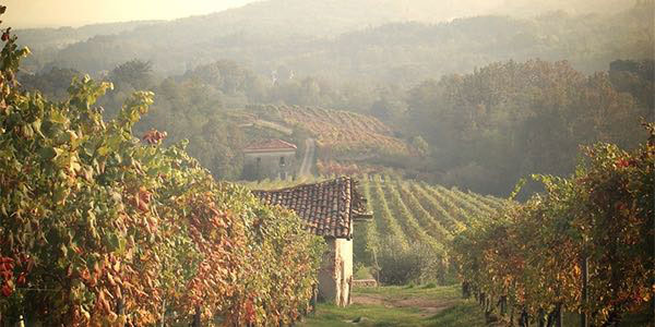 Le-Piane-Boca-vineyards-Piedmont