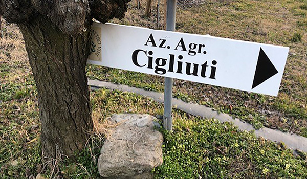 Cigliuti Sign