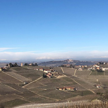 Barbaresco from Sottimano