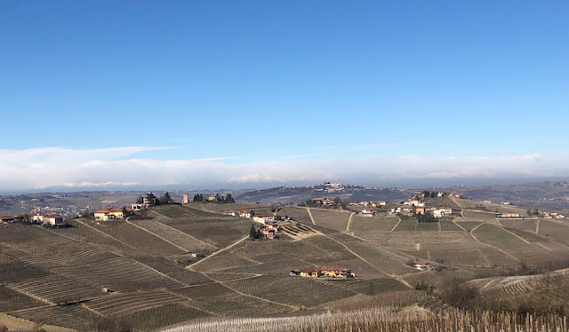 Barbaresco from Sottimano 