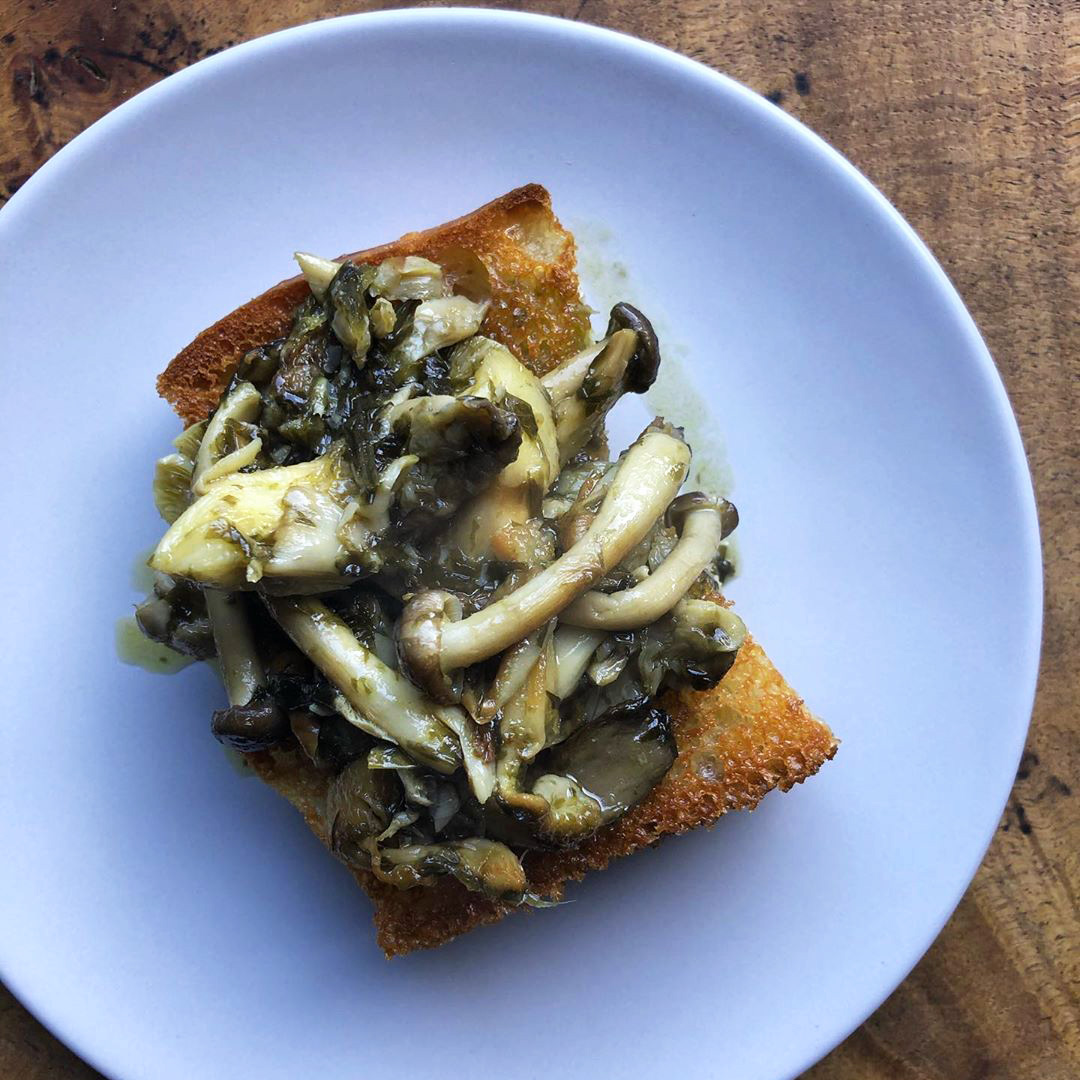 wild mushroom toast