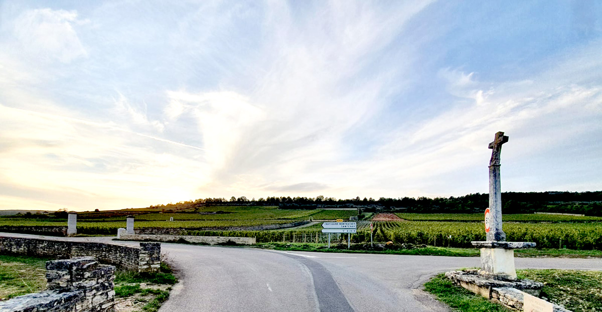 crossed road burgundy countryside