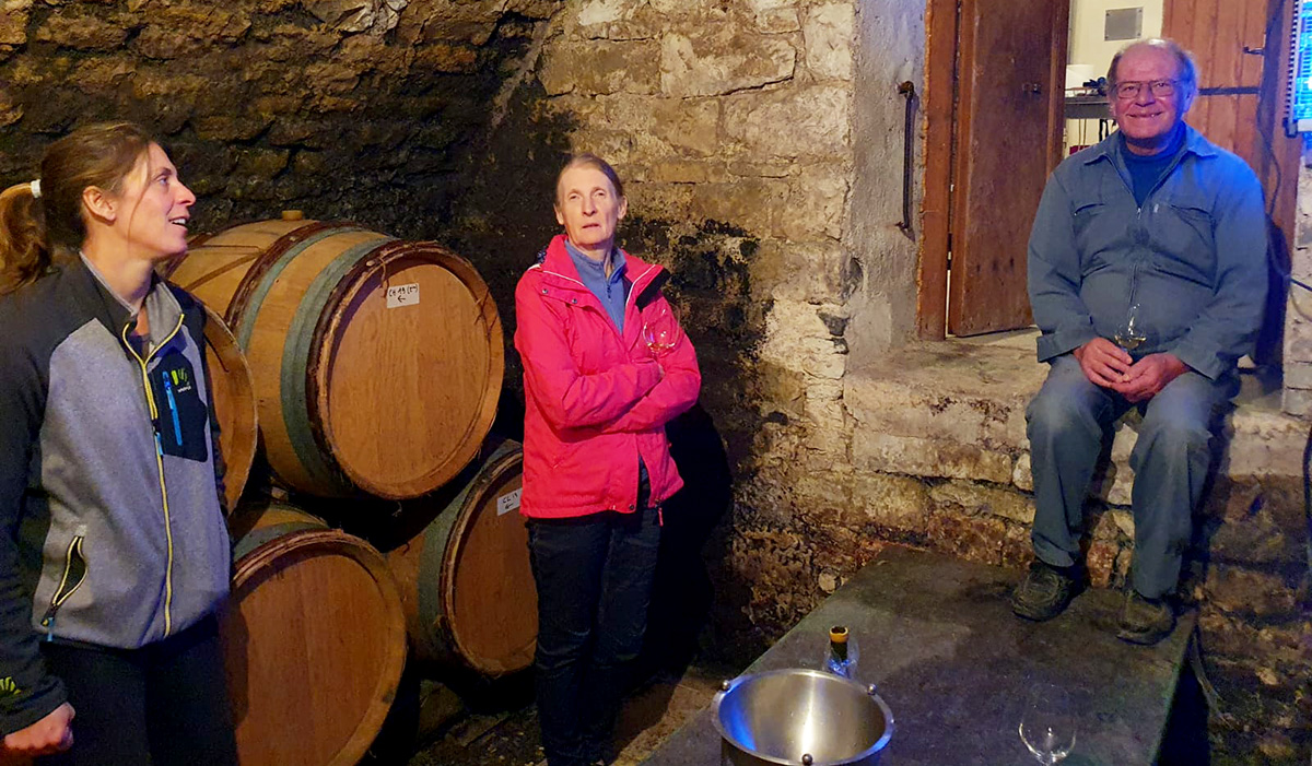 Tribut family Cellar