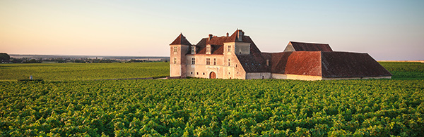 Clos vougeot cote d'or