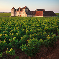 Clos vougeot cote d'or