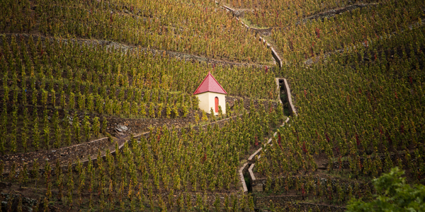 alternative to cote rotie